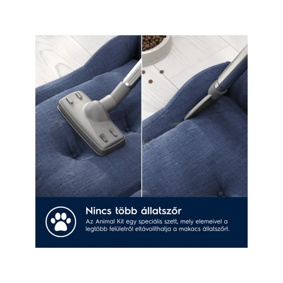 Electrolux EB61A5UG Animal 600 Porzsákos porszívó
