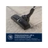 Electrolux EB61A5UG Animal 600 Porzsákos porszívó